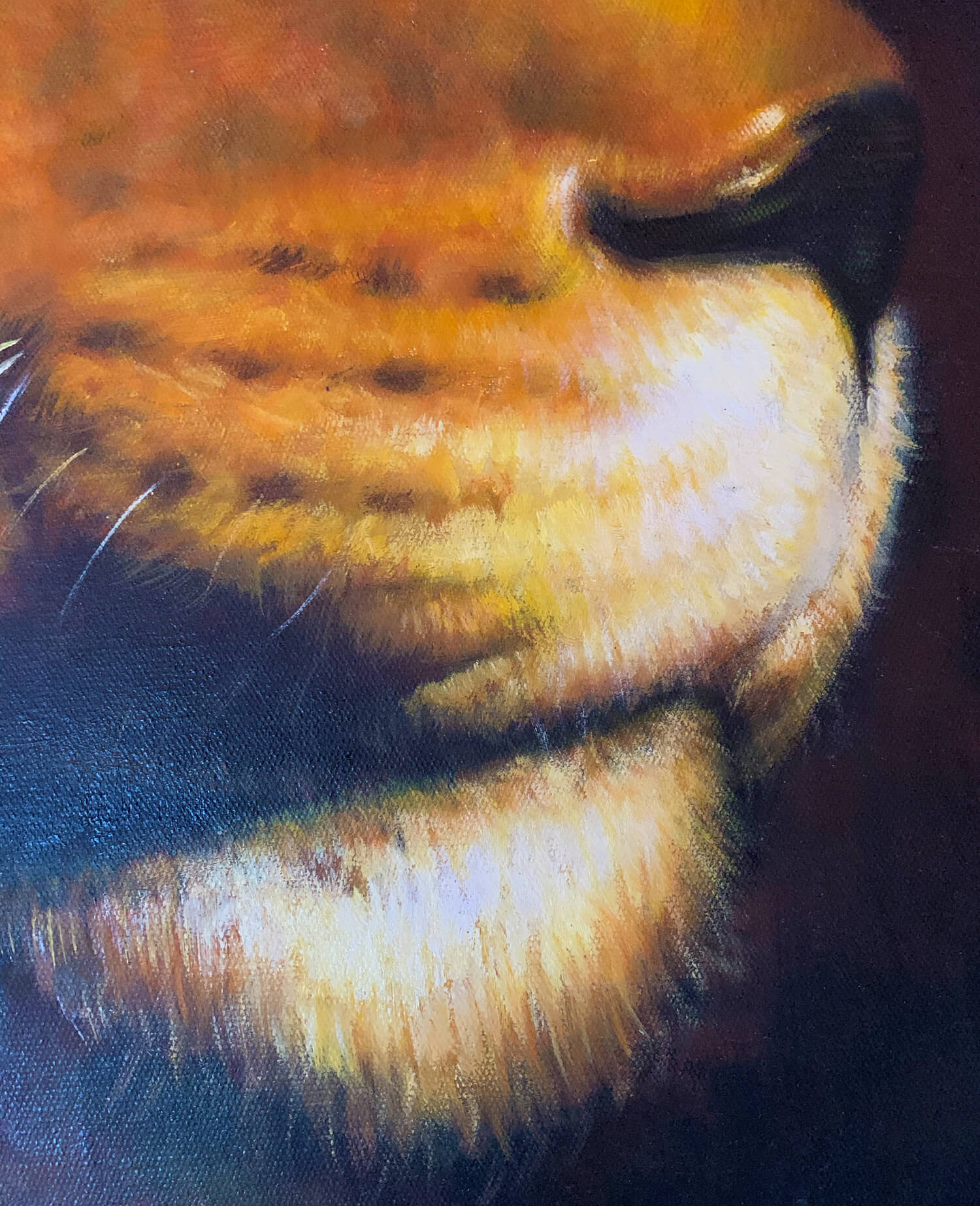 Vorschaubild 6