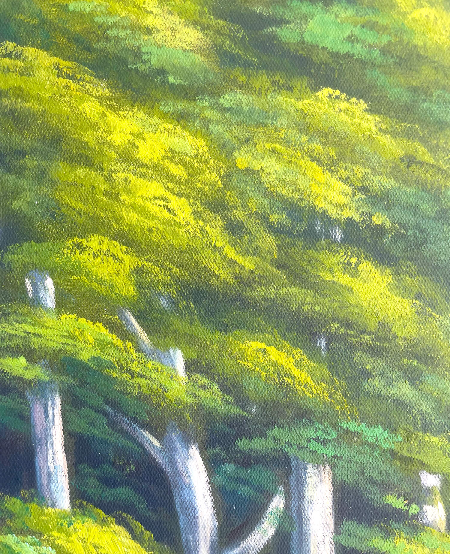 Vorschaubild 6